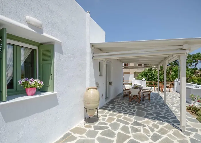 Βίλα Naxos Traditional House In